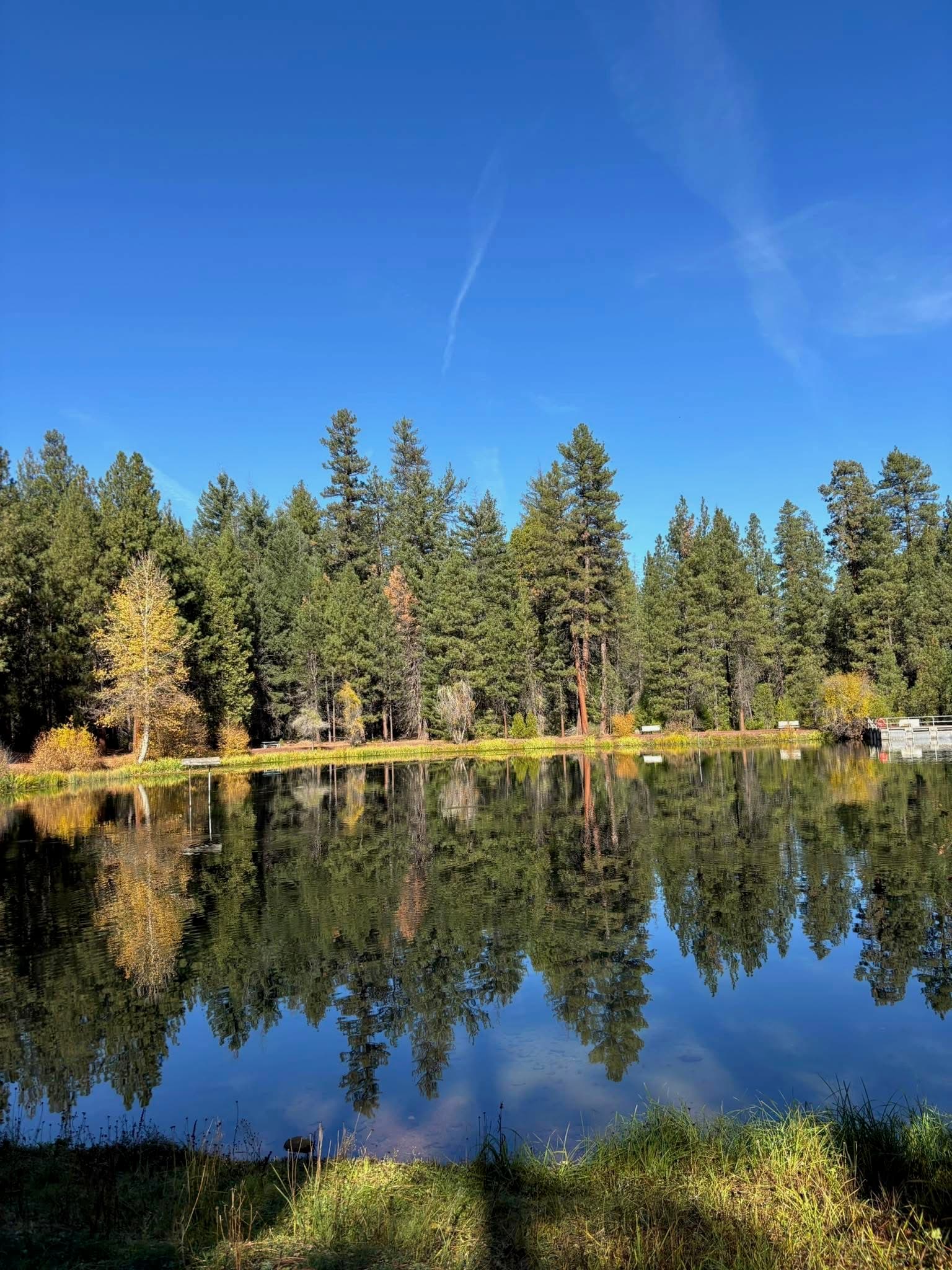A quiet lake reflecting pine trees in Central Oregon